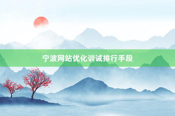 宁波网站优化训诫排行手段